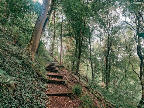 rotsen van sy|De rotsen van Sy (originele wandelingen)